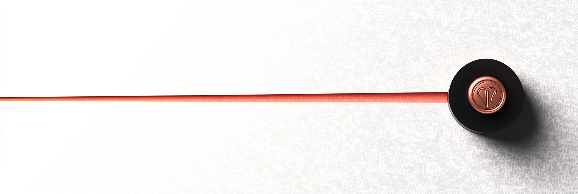 Brand Identity